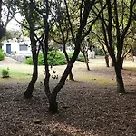 D'hote A La Maison Du Petit Bois 4 Etoiles