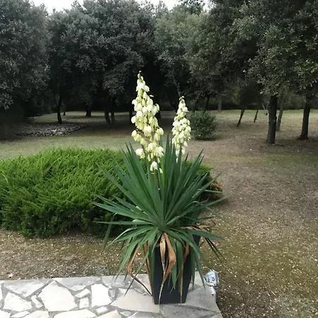 D'hote A La Maison Du Petit Bois 4 Etoiles Отель типа 