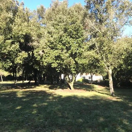D'hote A La Maison Du Petit Bois 4 Etoiles Ventenac-Cabardès