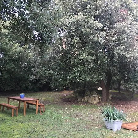 Bed & Breakfast D'hote A La Maison Du Petit Bois 4 Etoiles 4*