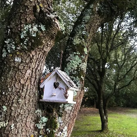 D'hote A La Maison Du Petit Bois 4 Etoiles Bed & Breakfast
