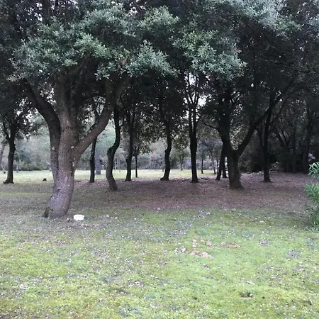 D'hote A La Maison Du Petit Bois 4 Etoiles 4* Ventenac-Cabardès