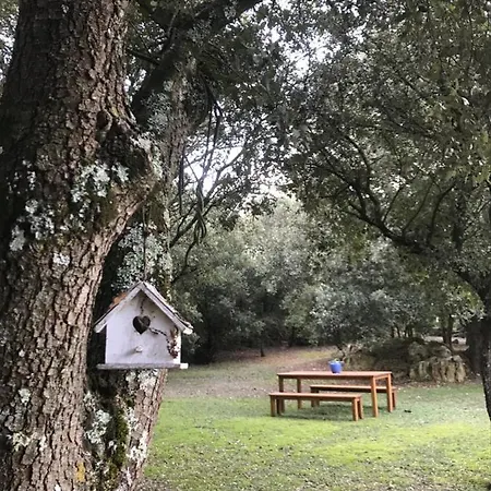 Bed & Breakfast D'hote A La Maison Du Petit Bois 4 Etoiles