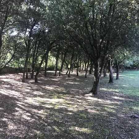 D'hote A La Maison Du Petit Bois 4 Etoiles Ventenac-Cabardès