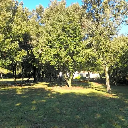 Bed & Breakfast D'hote A La Maison Du Petit Bois 4 Etoiles Ventenac-Cabardès