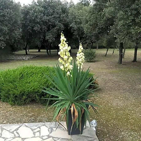 D'hote A La Maison Du Petit Bois 4 Etoiles 4*