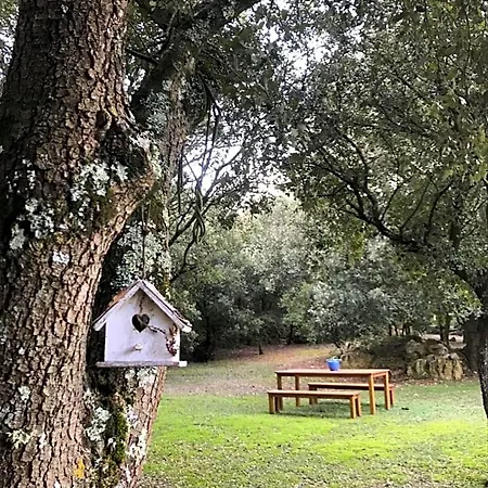 D'hote A La Maison Du Petit Bois 4 Etoiles Ventenac-Cabardes