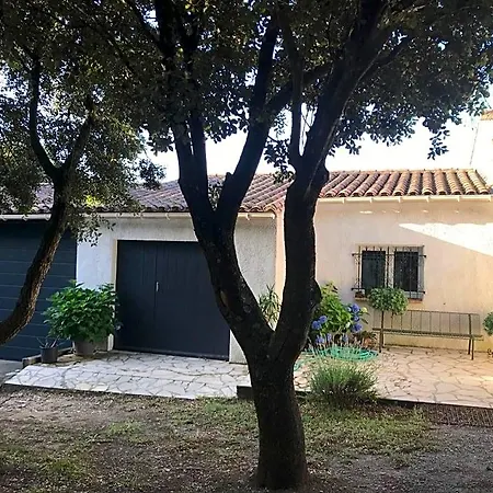 Bed & Breakfast D'hote A La Maison Du Petit Bois 4 Etoiles 4*