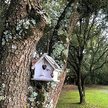 D'hote A La Maison Du Petit Bois 4 Etoiles Nocleg ze śniadaniem 4*