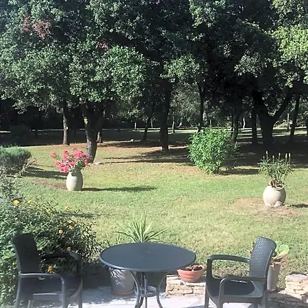 D'hote A La Maison Du Petit Bois 4 Etoiles Отель типа 