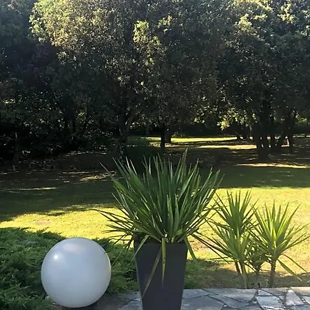 D'hote A La Maison Du Petit Bois 4 Etoiles Nocleg ze śniadaniem Ventenac-Cabardès