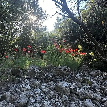 D'hote A La Maison Du Petit Bois 4 Etoiles 4* Ventenac-Cabardès