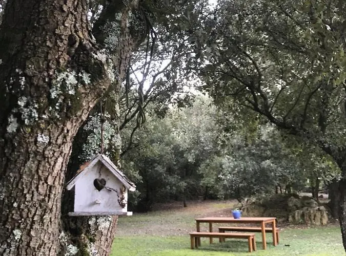 Bed & Breakfast D'hôte à La Maison Du Petit Bois 4 étoiles