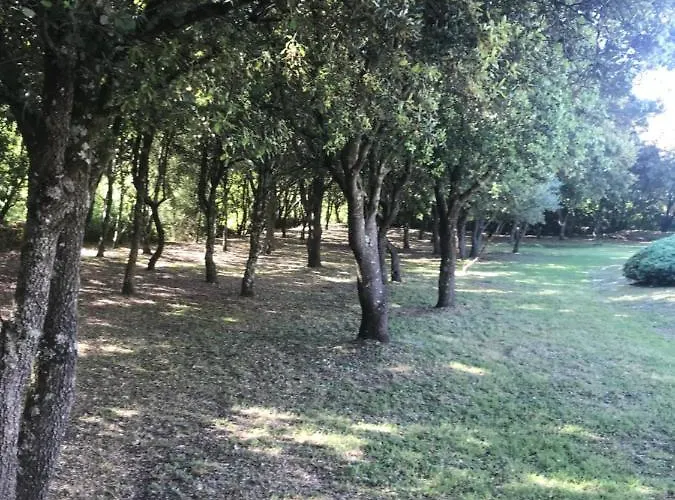 D'hôte à La Maison Du Petit Bois 4 étoiles